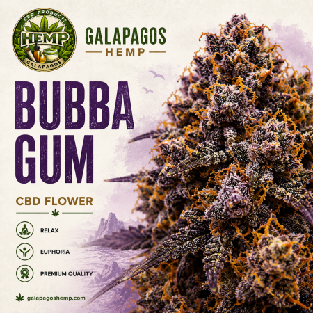 BUBBA GUM - INDICA