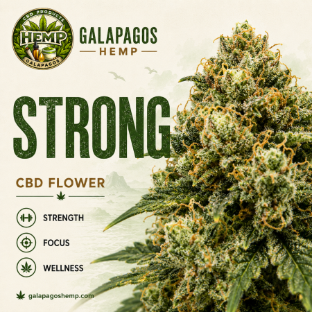 STRONG - INDICA